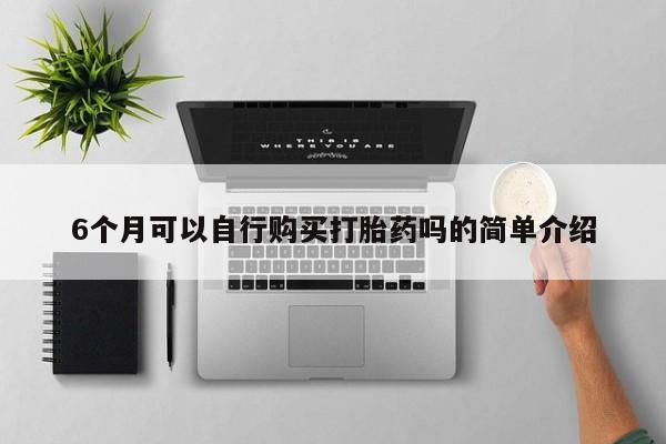 私人医院能卖打胎药吗6个月可以自行购买打胎药吗的简单介绍
